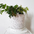 White Terrazzo Planters